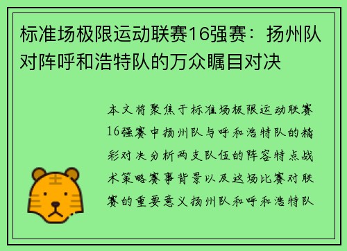 标准场极限运动联赛16强赛：扬州队对阵呼和浩特队的万众瞩目对决